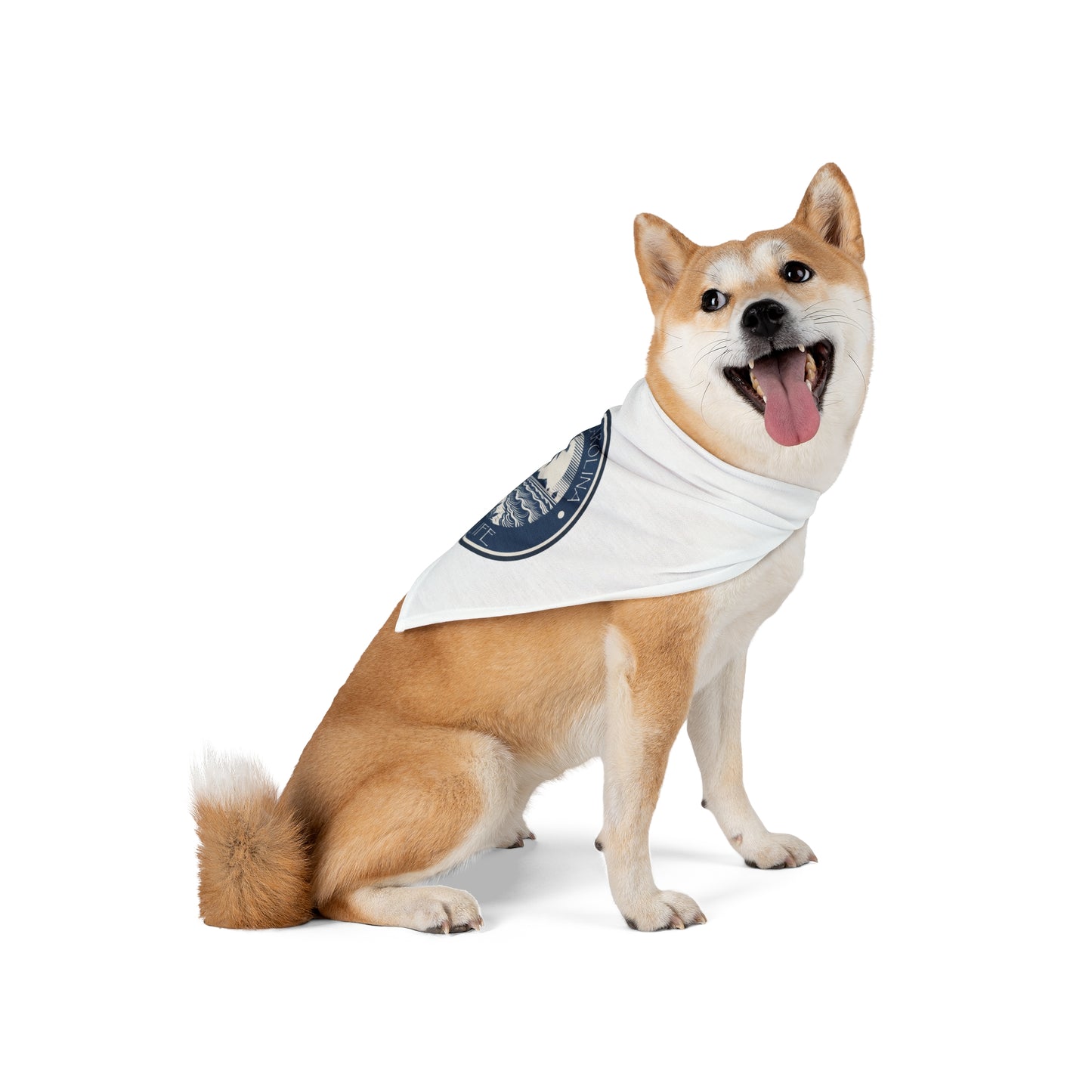 Beach Coastal Pet Bandana