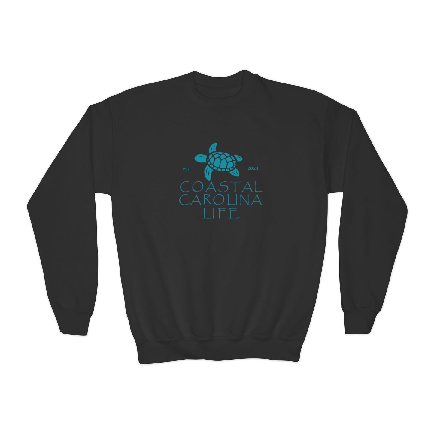 Coastal Youth Sweatshirt - Baby Sea Turtle Est 2024
