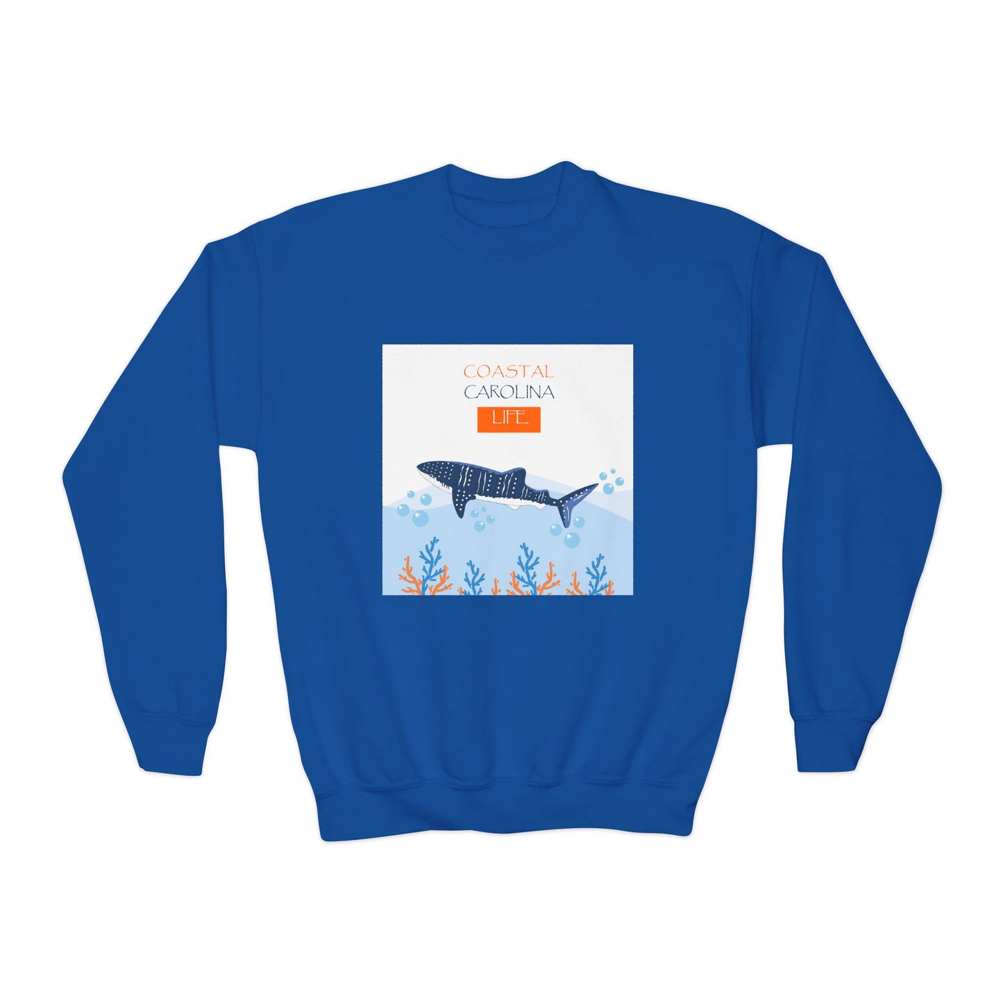Coastal Youth Sweatshirt - Swimming Shark