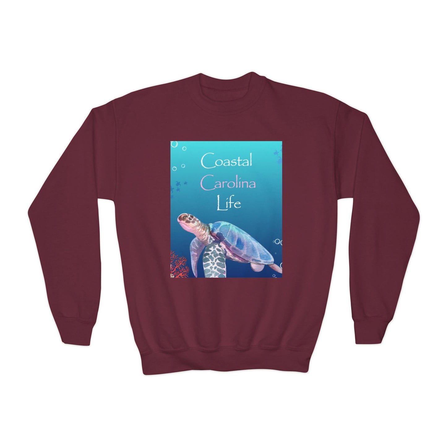 Coastal Youth Sweatshirt - Swimming Sea Turtle