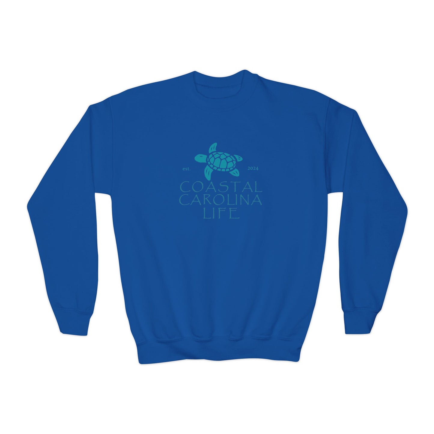 Coastal Youth Sweatshirt - Baby Sea Turtle Est 2024