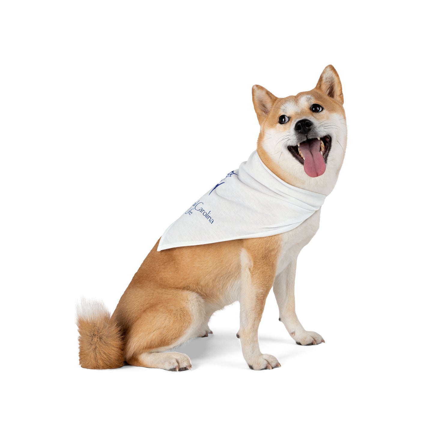 Sailfish Coastal Pet Bandana