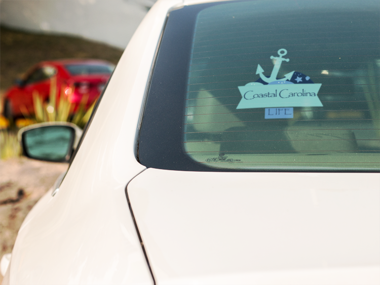 Anchor Coastal Auto Decal