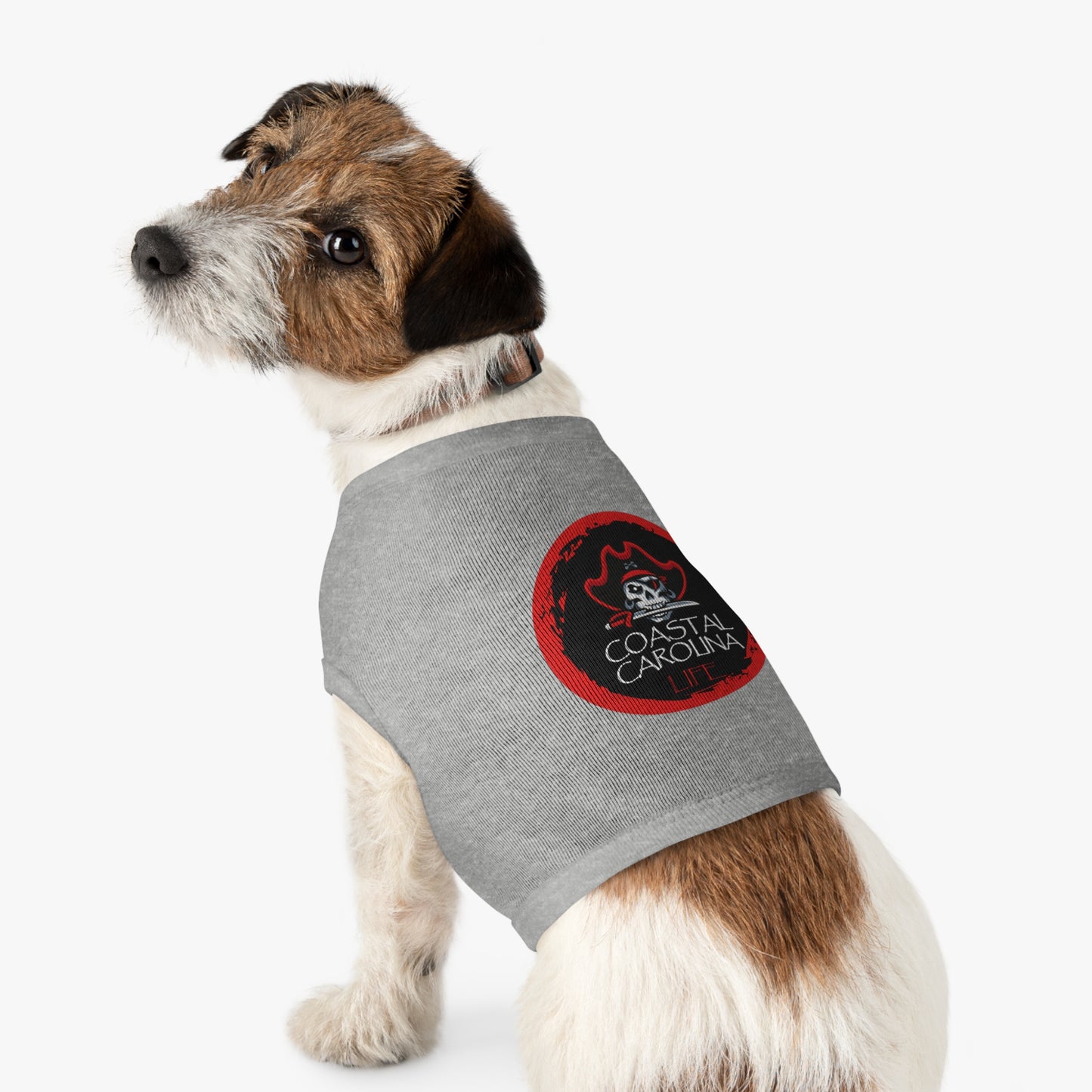 Pirate Coastal Pet Shirt