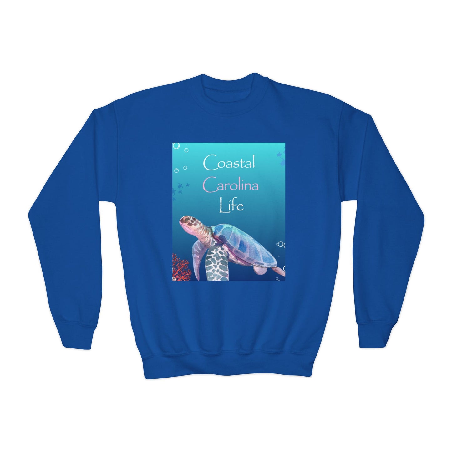 Coastal Youth Sweatshirt - Swimming Sea Turtle