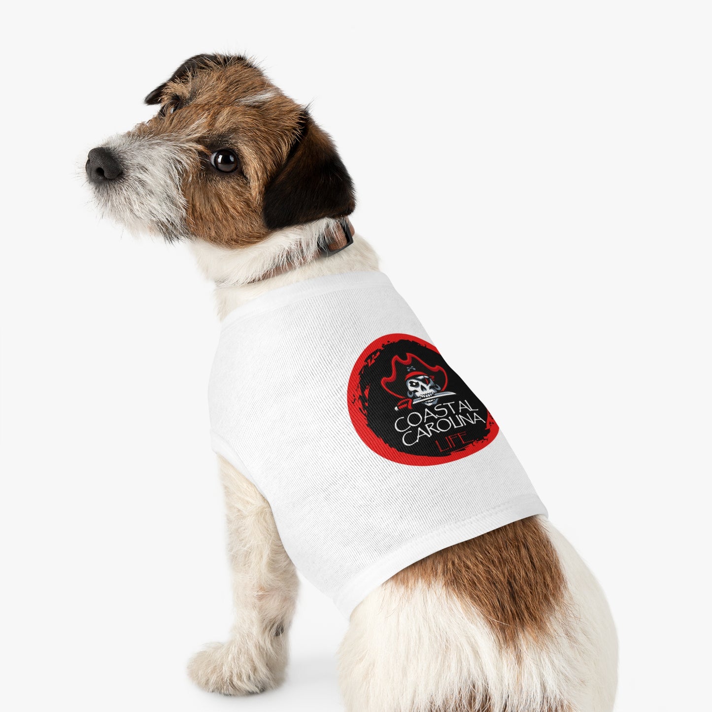 Pirate Coastal Pet Shirt